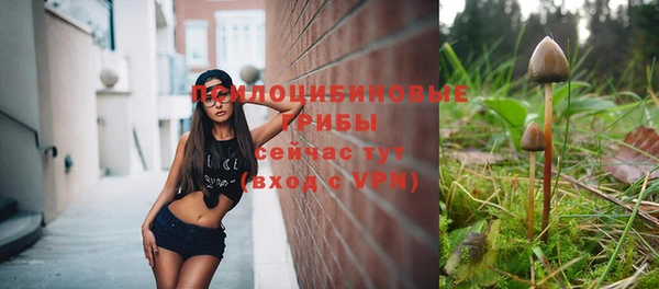 круглые Аркадак